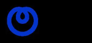 Logo NTT Netherlands B.V.